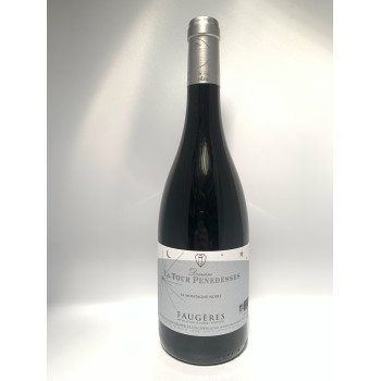 Faugères La montagne Noire Domaine la Tour Penedesses 2021