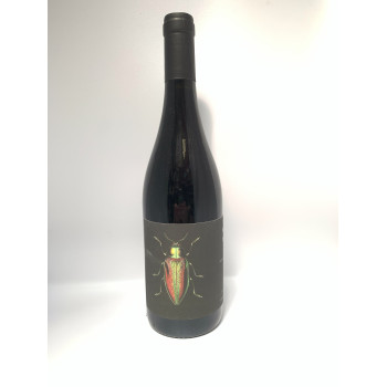 Vin de France Les Brunelles Domaine Ledogar 2023